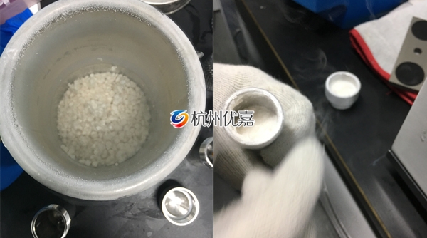 宋慈全自動(dòng)快速研磨儀研磨酵母實(shí)驗(yàn)案例