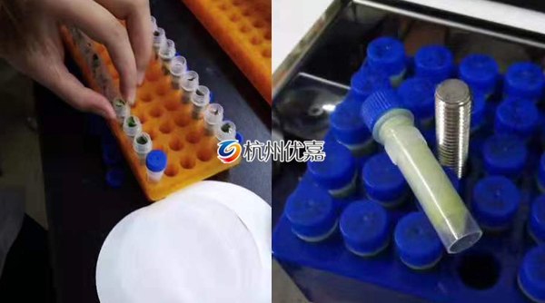 宋慈研磨儀批量研磨植物組織，速度快，重復性好